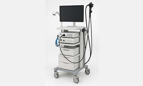 Gastroenterology
